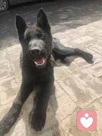 总有人说我话少、安静，其实我只是习惯当那个倾听者。
不用我多说什么，只要你愿意讲，我就愿意听。
开心的事事我陪你笑，委屈的话我替你兜着，迷茫的时候我安安静静陪着你。配图