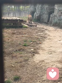 原来最好的倾听，从不是滔滔不绝的安慰，而是有人愿意放下所有防备，陪你一起安安静静度过每一个平凡瞬间。配图