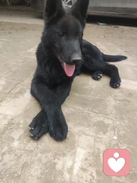 愿我们都能成为彼此的倾听者，也能被他人温柔倾听，在一呼一吸的回应间，读懂生活最本真的温暖。配图