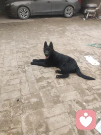 世界太吵，总有人急着说教。
我不评判、不讲大道理，只安安静静听你说。
委屈、疲惫、心事重重，都可以放心讲给我。
做你专属的情绪树洞，陪你慢慢释怀。