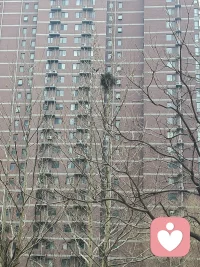 出门见囍 双喜出门
都说陪伴是最长情的告白
亲情 友情 爱情都一样
不管哪一种 你慢一慢 我等一等
心照不宣后长长久久～