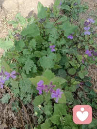 与其为发生过的事情痛苦 不如从痛苦中解脱出来 去创造一个更加丰富多彩的内心世界
其实幸福就在身边 有时候身在幸福的山中 在远近高低不同的角度看到的总是别人的幸福风景 没有悉心感受自己拥有的幸福天地～配图