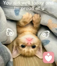 高能量的人有一个特质：看到事实的简单骨架，然后直面解决。过程中没有情绪的裹挟、创伤的激活、幻觉的干扰。增强能量成为高能量的人，加油！