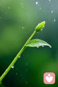心之境界决定生活品质，静心达到幸福！配图