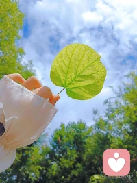 ▫️一念秋风起，一念岁月长
