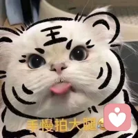 给力心理接单中
做你情绪的避风港
耐心倾听，温柔陪伴
把不开心都交给我配图