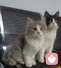 天上的月亮独一无二，你也是，自己的生活随心即是满分🌹