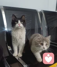 人不可能没有创伤，但可以带着创伤继续前行。
我们可以带着觉知，不断地去看见，看见即疗愈。
每穿越一个创伤，就多了一份力量。
没有完美，可以完整。

创伤也是我们的一部分，请一而再再而三地选择优先照顾好自己，是头等重要的事情。

​