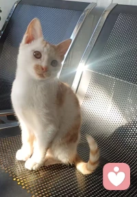 坏事还没有发生呢，你就开始焦虑，那就等于两次坏事，这事都过去了，你还陷在里面，那就等于三次坏事，凡事发生必有利于我。