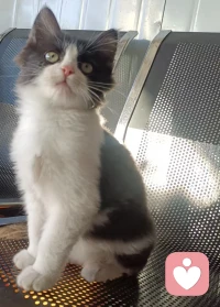 负面情绪也是值得被看见的，就像你值得被看见一样！配图