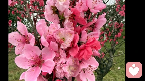 写给回避型依恋的你：不必为“不一样的爱”苛责自己