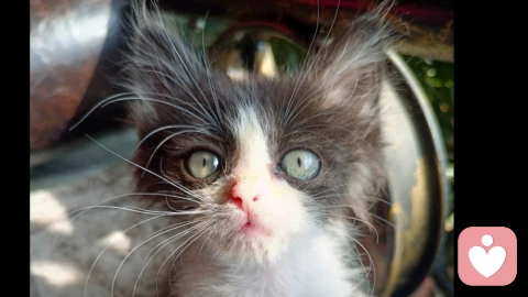 你不必完美，却早已足够好