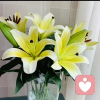 皮囊易得，知己难寻。终其一生，不过是想找一个能同频共振、灵魂共鸣的人，可以说很多废话，也懂所有沉默。配图