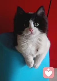 高考已经进入几十天倒计时了。
这最后的一段路，有时会很累，有时会慌，有时会想放弃，也有时会突然充满力气。
 
但你不是一个人。
你每天的坚持、每一次努力、每一滴没被看见的汗水，都算数。
 
把当下的每一分钟都过好，把该做的事做到位，把该稳住的心安住好。
你已经比昨天更强了。
 
愿你在高考这几天，心定、手稳、思路清晰。
愿你所愿皆所得，所行皆坦途。
 
加油，准大学生们。
慕名希一直为你们加油打气。💛配图