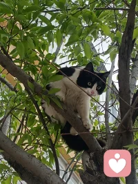 心狭为祸之根，心旷为福之门
                                 ——王阳明配图