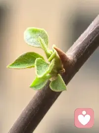 天上的月亮独一无二，你也是，自己的生活，随心即是满分。
