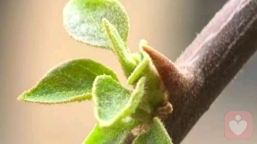 真正的独立，不是活成一座孤岛