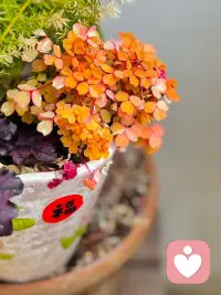 当你理解我的委屈时，我就不委屈了，当我的情绪被认可时，我就没情绪了，无论是大人还是孩子，我们要的都只是认可和理解。认可我的情绪，理解我的委屈。