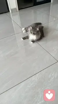 我们是女孩子，怎么能用霸气形容，不应该说可爱吗？