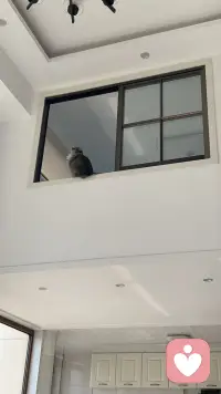 你咋不上天呢？
年轻真好，不懂天高地厚……配图