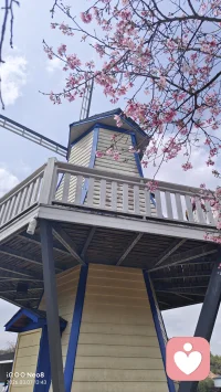 春天在公园踏行，可以忘记一些工作生活中的烦恼，感受这片刻的美好。