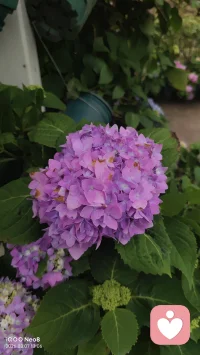 春天在公园踏行，可以忘记一些工作生活中的烦恼，感受这片刻的美好。