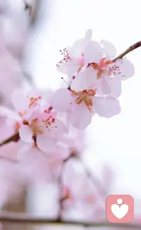 每个人的情绪都有它的意义，
难过不是软弱，生气也不是错误。
允许自己有各种心情，
好好倾听内心的声音，
就是在好好爱自己。配图