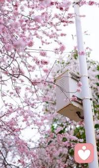 每个人的情绪都有它的意义，
难过不是软弱，生气也不是错误。
允许自己有各种心情，
好好倾听内心的声音，
就是在好好爱自己。配图