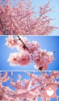 每个人的情绪都有它的意义，
难过不是软弱，生气也不是错误。
允许自己有各种心情，
好好倾听内心的声音，
就是在好好爱自己。配图