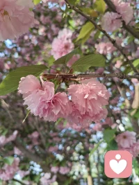 一切都会好起来的