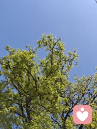 我们以为的思考，只是把偏见拿出来重新审视一遍。