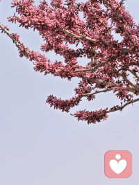 春风拂岸，曲水流觞，人间清和，岁岁皆安。