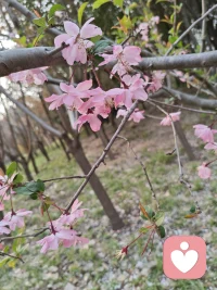 日子简单充实，总是被喜欢的事物填满~