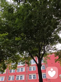 你是安全的。