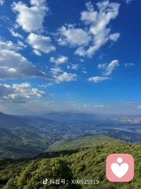 愿你成为自己的太阳，无需凭借谁的光。配图