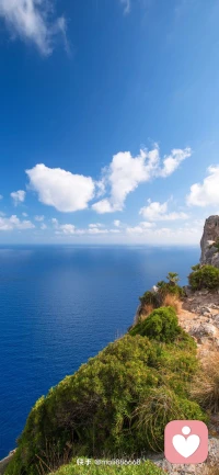 人生不是靠心情生活，而是靠心态去生活，心态好了，生活处处都是阳光。