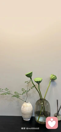 没有不可治愈的伤痛，没有不能结束的沉沦。所有失去的，会以另一种方式归来。配图