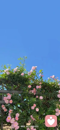 既然去不了远方，那就感受一下路上的风景。配图