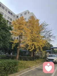 80后的我们，压力太大，孩子学习，工作压力，夫妻相处，还有婆媳矛盾，还有年迈父母，这都压的喘不过气。
如有这些焦虑的，都可以联系我哟！