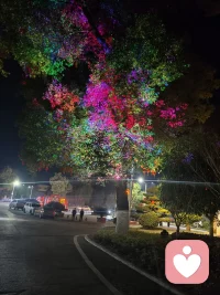 姐妹，如何维持婚姻的平衡感？
男性思维了解下
男人可以婚后吃喝玩乐
我们女人也可以，婚前怎么玩，婚后也一样
记住，自己感受第一
是结婚了又不是做牢。用男性思维和他相处简直不要太爽。
行动起来啊