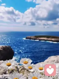 如果今天不小心摔倒了，那就躺一会儿再起来，没关系，有时候大地也需要拥抱。”配图