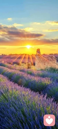 强大的人给出的爱是允许
恐惧的人给出的爱是控制
内求的人给出的爱是感化
外求的人给出的爱是教化
慈悲的人给出的爱是看见
自私的人给出的爱是筹码
丰富的人给出的爱是滋养
匮乏的人给出的爱是期待
智慧的人给出的爱是启发
无知的人给出的爱是打压配图