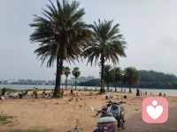 每个人成长际遇不同、压力各异，心累委屈不想打扰朋友，随时可以来找我倾诉