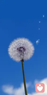 情人之间不联系女人多久会忘记男人

一、永远无法忘记

刻骨铭心的恋情想必是很难遗忘的，在这一段感情当中，女人付出了一切，想要遗忘是很困难的，甚至有可能永远没有办法忘记。有些人在感情中不断的付出，以为会与另一半走入婚姻的殿堂，但没有想到两个人会分道扬镳，这种刻骨铭心的恋情，对于男人和女人来讲都是很难被遗忘的，大多数人在自己的一生当中都会遇到自己永远无法忘记的那个人，因为他惊艳了自己的人生岁月，他出现就像光一样，让周围的人变得黯淡无光。

二、新欢与旧爱

很多人都说自己没办法忘记前任，但有时这样的说法是不正确的，忘记前任最好的方式是开展一段新的恋情。如果这个前任并没有带来刻骨铭心，无法忘怀的一段感情，那么很容易被后来者所取代，甚至感情中的后来者，享受到的这份感情会比前一任更好，更加完美，因为前一任教会了自己如何去经营一段感情。

三、最好的良药是时间

没有什么是时间解决不了的。在受了一段情伤后，经过慢慢的调养够长的时间，足以让每一个人从自己受到的伤害中走出来。这也是很多人为什么在刚刚分手时感到特别难过，再过了一段时间之后就没有这种感觉了。配图