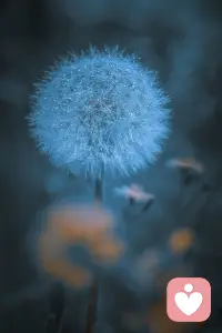 男人开始厌倦你了，才会出现这5种反常表现，别再骗自己了！

享受爱情的时候，往往都十分甜蜜，我们沉浸在爱情里，被爱情呵护着，滋润着。特别是女人，希望自己是被爱着的，被自己的男人永远珍在心头，幻想着能和他过一辈子。
可是没有谁就能说可以陪你一辈子，男人也一样，再甜的蜜语也抵不过时间的磨合，有些人熬过了就是一辈子，而有些人，注定是要被随波逐流，最后一人生活。
男人对自己越来越不如从前，心思也越来越散漫，好像什么事情在他眼里，都比自己有趣，并不是自己不够好，只是男人的心变了，原来，只有男人“厌倦”你了，才会有这样的表现。

1、对你不再热情
男人有时候总是这么现实的不近人情，为什么追自己的时候这么热情，每天都要跟着自己。而现在开始“厌倦”你时，就像是换了一个灵魂一样，看见你就像看着一个陌生人似的，看不见当年的热情。
这时候，你会明显感受到他的态度，他对你越来越冷淡。

2、总是需要自由的空间
都说女人是像猫，可是男人何尝不是。当男人“厌倦”的时候，就像一只失忆了的猫，对你再也不记得好，只想有自己的空间生活，甚至你要是越过了这道线，都会被挠伤。
要是这个曾经爱着你想要天天和你黏在一起的男人，现在变得越来越“独立”了，提到了自由，那么他很有可能“厌倦”你了。

3、越来越不耐烦
男人对心爱的人是十分有耐心的，因为他们怕说错了话让女人受到委屈，会十分有耐心的陪着你做想要去做的事情，并且十分温柔的为你解答。
可是一旦男人对你不耐烦了，他完全会失去耐心，觉得多一秒都是麻烦，不管你说什么做什么。

4、各种对你不顺眼，挑毛病
爱情中，男人都会包容女人的各种小缺点，认为这样的个女人是可爱的，让他怜惜，在他眼里，这些小缺点都是一种可爱的优点。
可是那个“厌倦‘你了的男人，就不一样了，你此时的任何一点小缺点，都会被它无限的放大，夸张，她会总嫌弃你，挑你的毛病，找缺点似乎成了他的拿手戏。

5、两个人之间算得很清楚
真正把你当自己人的男人，绝对不会和你分你我的，他们会很大方的和自己女人分享一切，并且也舍不得自己女人花钱，因为他想把一切最好的给你。
而往往一个男人厌倦你了，就会和你计较的很清楚，生怕自己吃点亏，也是为以后了断提前划清界限。

爱情其实并不是总那么完美的，我们总在期待自己的真爱，可是遇到真爱的几率往往那么难求......
男人不爱你了，开始“厌倦”你了，其实都能看出来了，有些表现配图