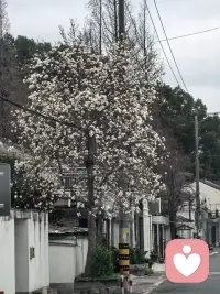 好的风景是治愈情绪的必需品