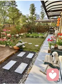 阳光正好，微风不燥配图