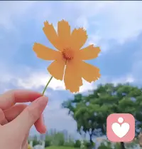 我情绪超稳定，还可以提供情绪价值。时刻在线配图