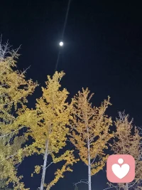 日子平淡，好在喜欢配图