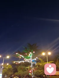 后来我才懂，
忘记不是不再想起，
是想起时，只剩声音，不见容颜。配图